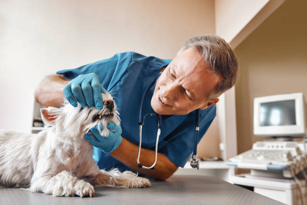 Best Emergency Dentist Near Me  in Benbrook, TX